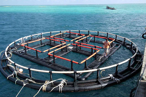 深海奇跡、水下牧場：探索深海養(yǎng)魚網(wǎng)箱在水產(chǎn)養(yǎng)殖中的新可能